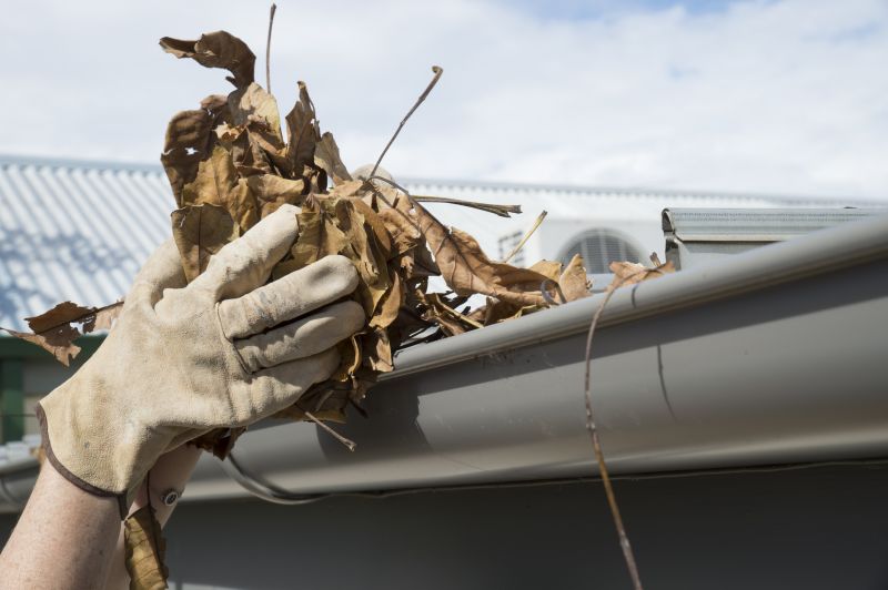 Gutter Blockage Removal in Frederick, MD