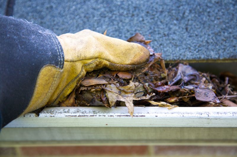 Gutter Cleaning in Bergen County, NJ