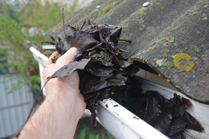 Clogged Gutter Clearing in Boulder, CO