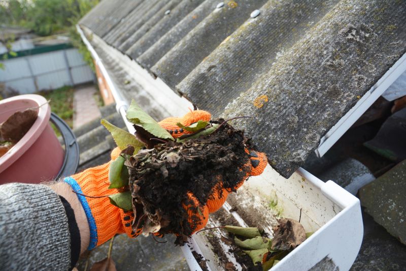 Clogged Gutter Clearing in Fredericksburg, VA