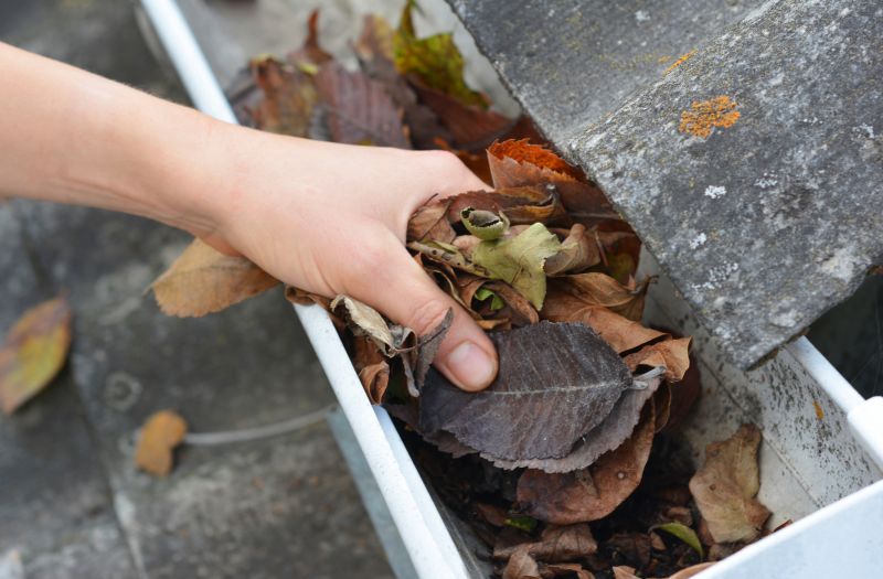 Commercial Gutter Unclogging in Denver, CO