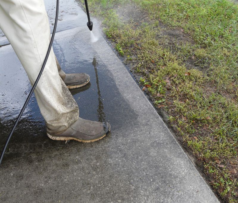 Walkway Power Washing detail