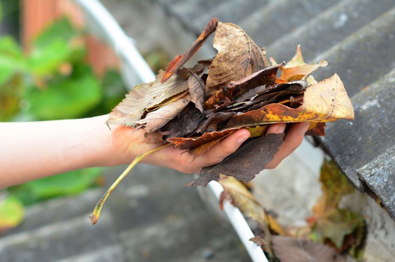 Gutter Leaves Removal in Frederick, MD