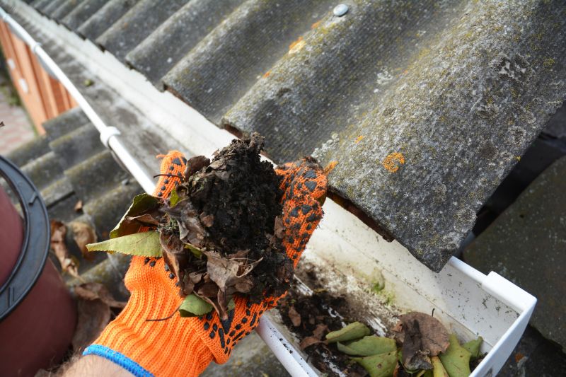 Gutter Pine Needle Removal in Arvada, CO